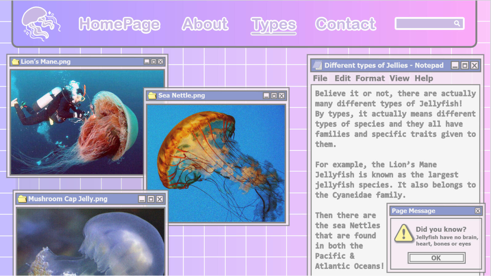 "Types Page" 9/12/23 "Types Page" 9/12/23
