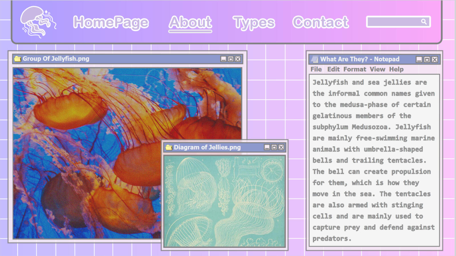 "About Page" 9/12/23 "About Page" 9/12/23